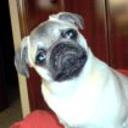 Lola