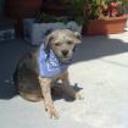 Boby