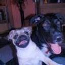 Sheila y lola