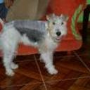 Athos