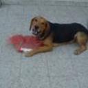 Tato