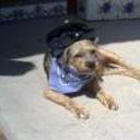 Boby