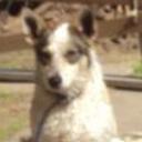 Blanquita