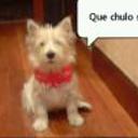 Yuma