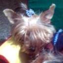 Magy