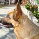 Benito con dulcinea