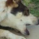 Blanquita