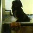 Blacky y nela