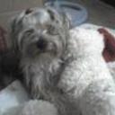 Romeo