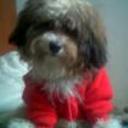 Firu