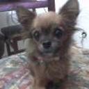 Snupy