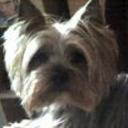 Bijou
