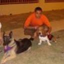 Loba