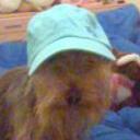 Magy