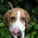 Patxi