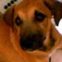 Leon