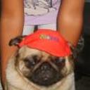 Rocko