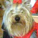 Magy