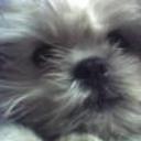 Princesa peluche pilco calderon