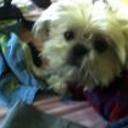 Princesa peluche pilco calderon