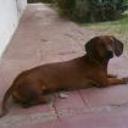 Cata