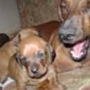 Mora e hijos