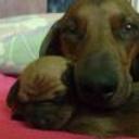 Mora e hijos