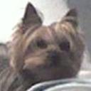 Bijou