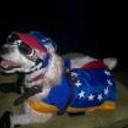 Zeús alejandro méndez