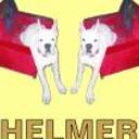 Helmer