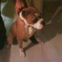 Chucki