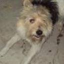 Felipe