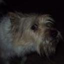 Felipe