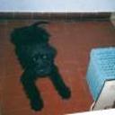Barny