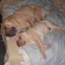 Sasa y mery