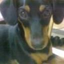 Mily