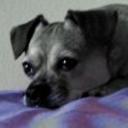 Lucas