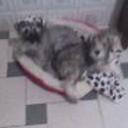Tao y baco
