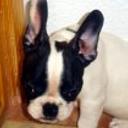 Rony