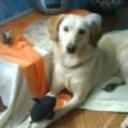 Canela