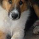 Jack