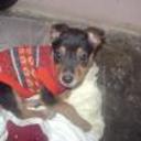 Coky