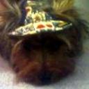 Lola