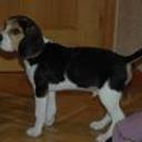 Jack