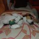 Jack