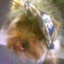 Lola