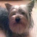 Magy