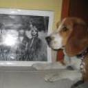 Ringo