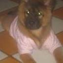 Muñeca