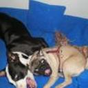 Otto y kora